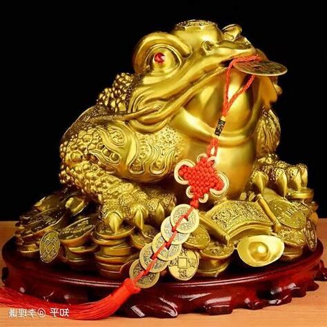 金蟾蜍摆放位置