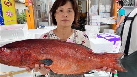 虎條魚