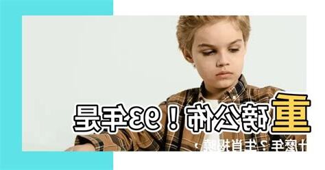 93年是什麼年