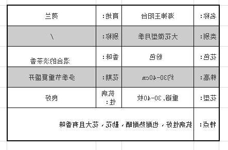 海神王陽台
