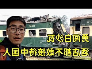 安身之狗