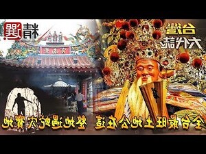 遇見蛇不要打