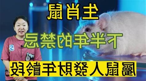 屬鼠禁忌