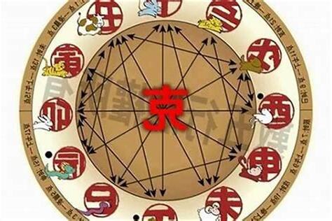 1995五行属什么