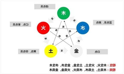 植物五行