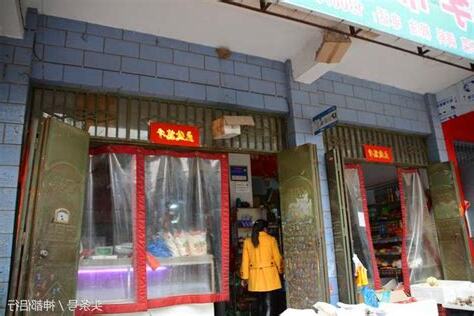 燕子在店門口築巢