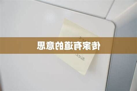 有道意思