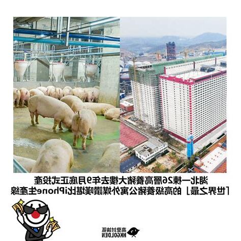 養豬大樓