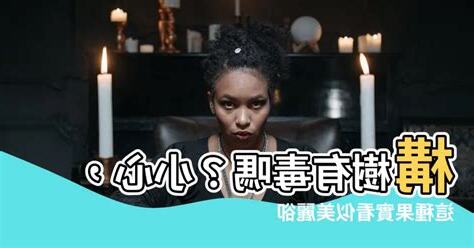 構樹有毒嗎
