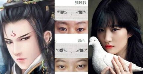 鳳眼