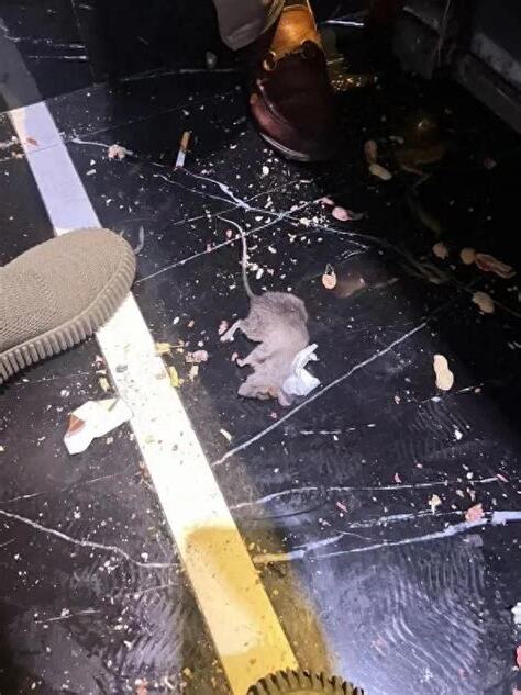 被老鼠咬到