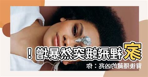 家裡飛蛾很多