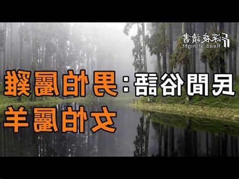 屬雞男屬龍女