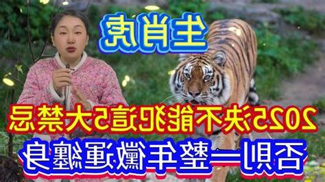 屬虎禁忌