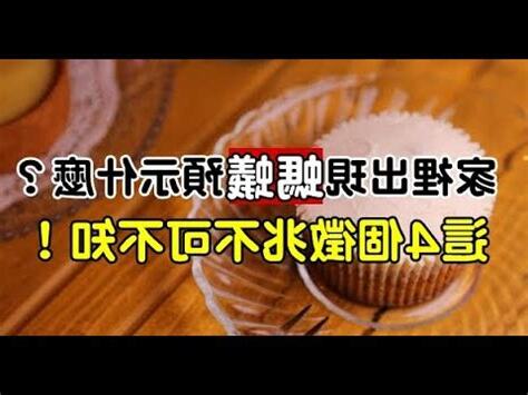 螞蟻入屋風水