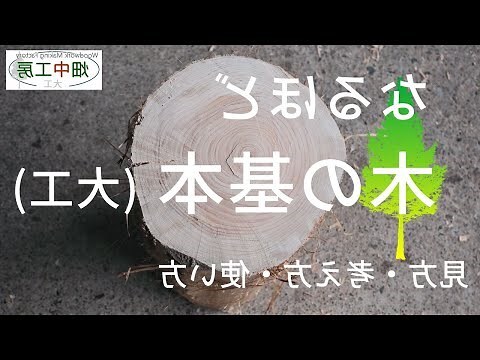 木木土
