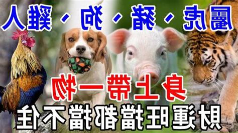 屬虎不要帶黃金