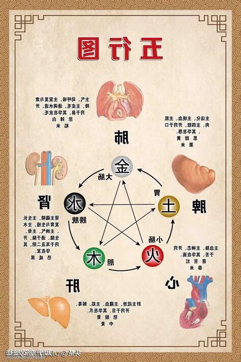 心肝脾肺腎情緒