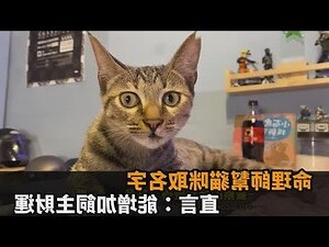 招財的寵物名字