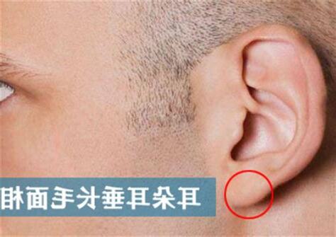 耳垂長毛
