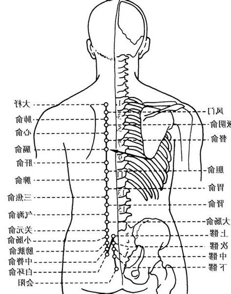 背穴