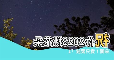 2023桃花位在洗手間