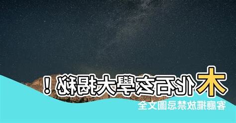 木化石擺放