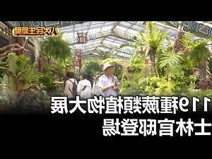 蕨類植物有哪些