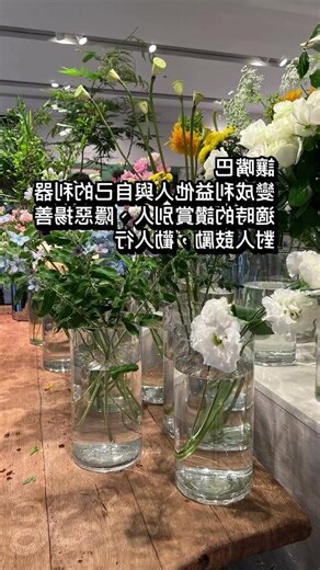 左右逢源的人