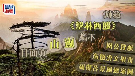 提攜林碧