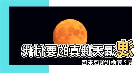 算命代價