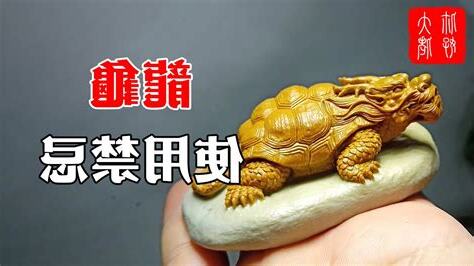 龍龜可以放幾隻