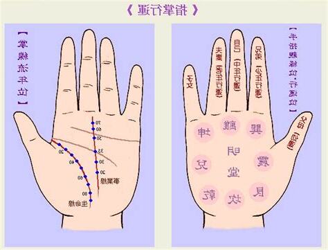 看手相生孩子