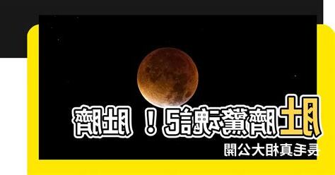 肚臍長毛