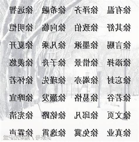 徐姓取名