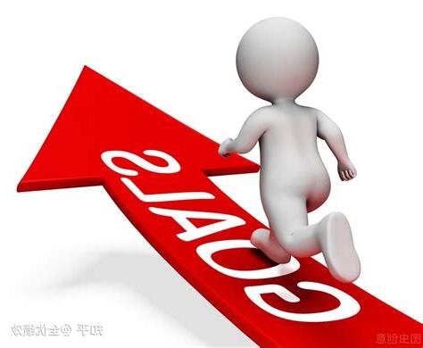 追求目標