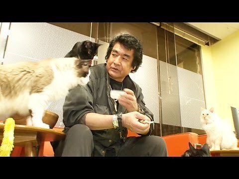 弘特立
