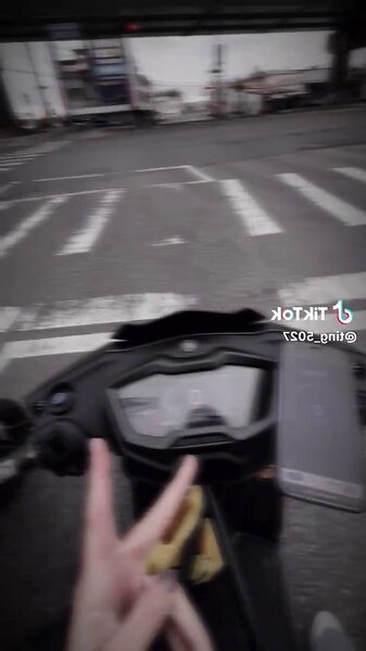 車標