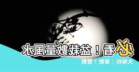 盆栽數量風水