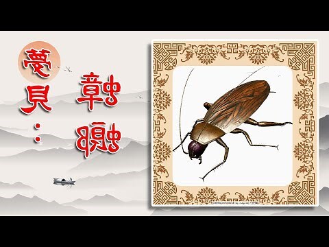 夢見蟑螂在身上