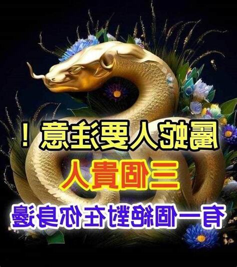 屬蛇的貴人