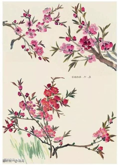 桃花畫法