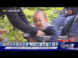 明年龍寶寶
