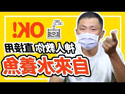自來水可以養魚嗎