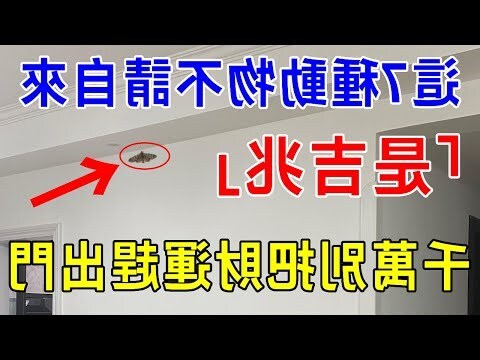 家中出現蟋蟀
