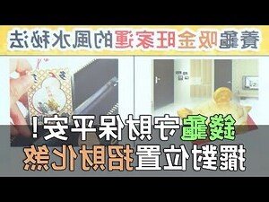 金錢龜擺放辦公室