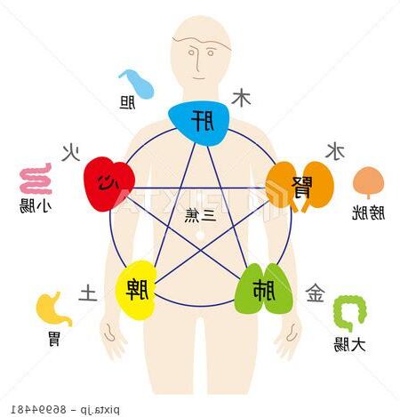 五行五臟六腑