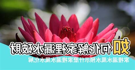 家裡漏水風水