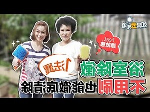 木鏟發黴怎麼辦