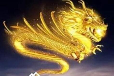 屬龍好嗎